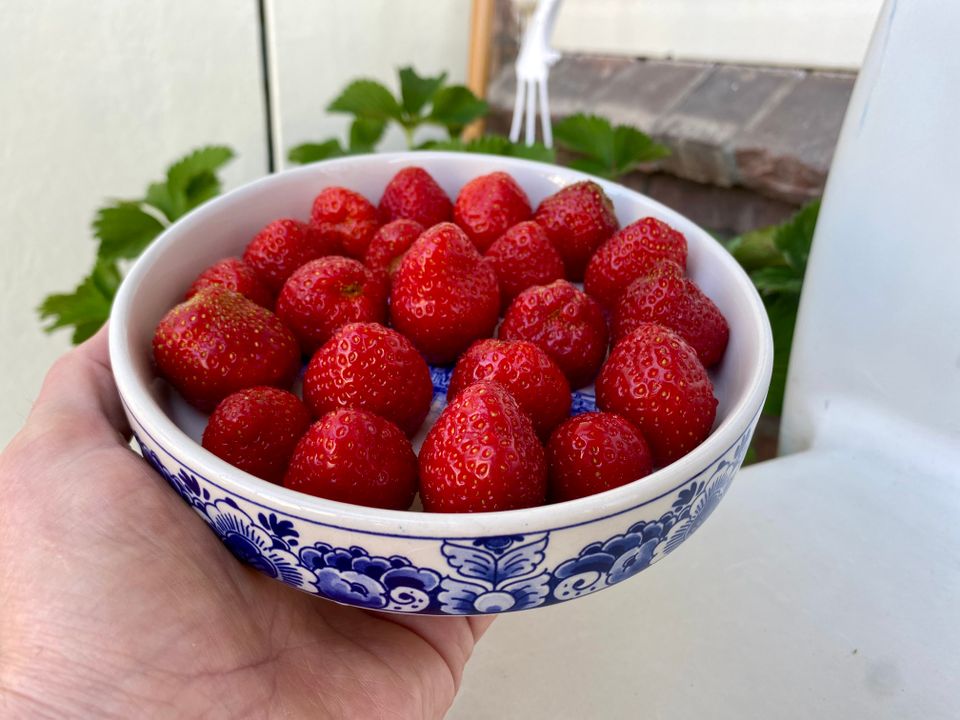 🍓 What Motivates People is Your Attention and Your Care